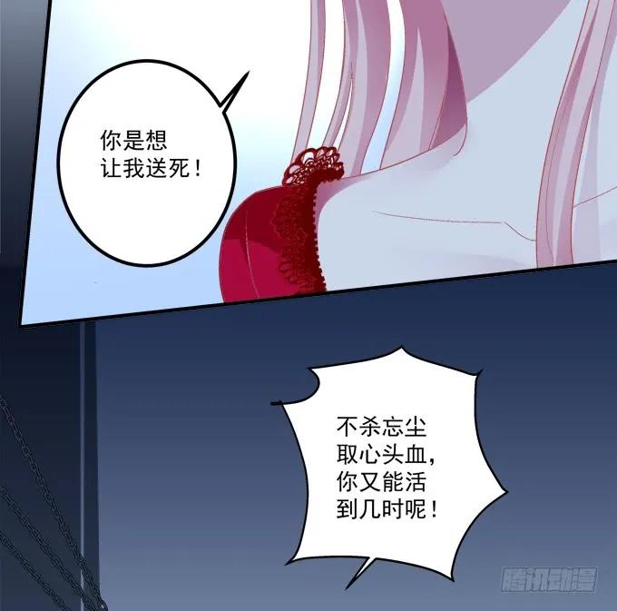 《猫妖的诱惑》师父与爱人！ 第41页
