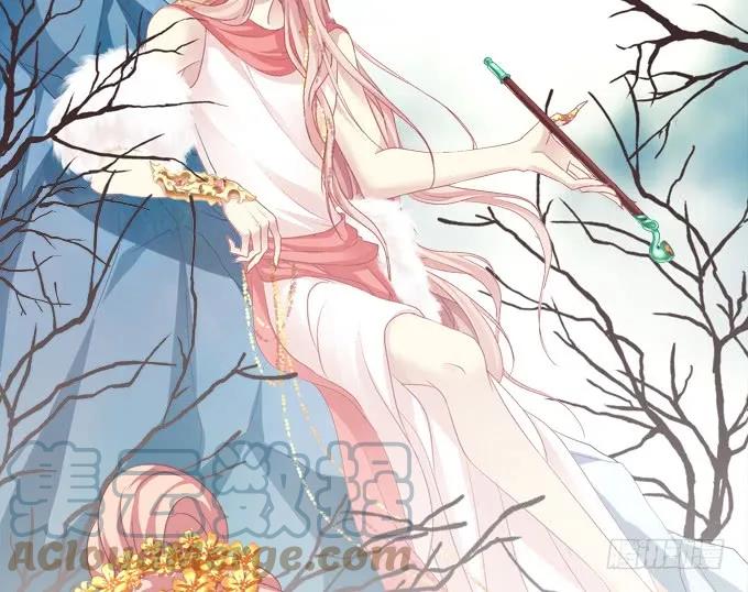 《猫妖的诱惑》洞房花烛夜！ 第12页