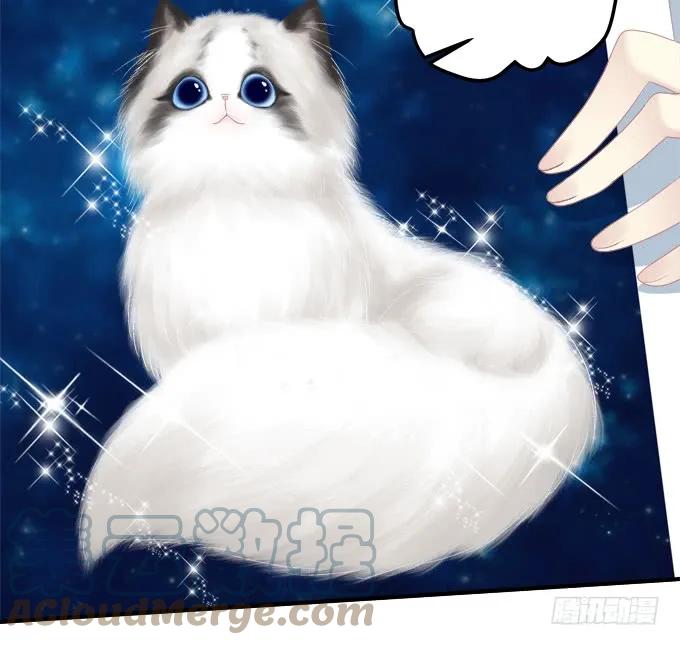 《猫妖的诱惑》洞房花烛夜！ 第9页