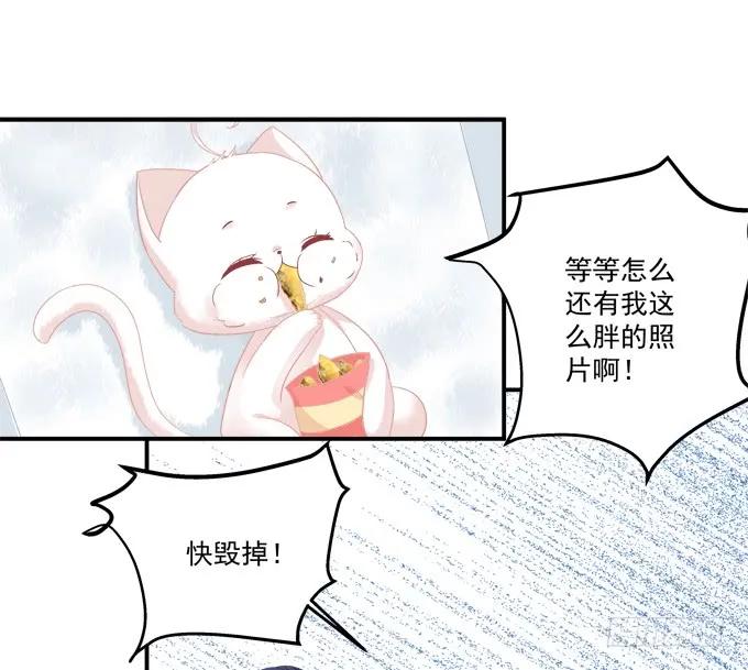《猫妖的诱惑》洞房花烛夜！ 第14页
