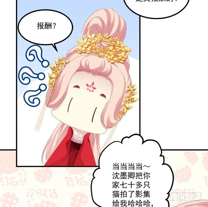 《猫妖的诱惑》洞房花烛夜！ 第7页