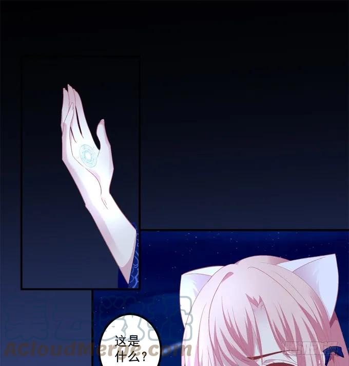 《猫妖的诱惑》到底是谁下的棋！ 第4页