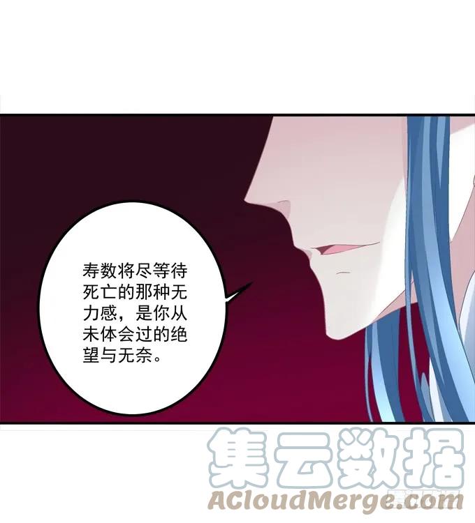 《猫妖的诱惑》到底是谁下的棋！ 第43页