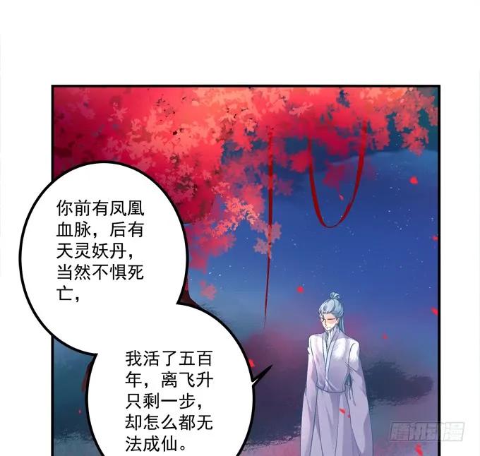 《猫妖的诱惑》到底是谁下的棋！ 第41页