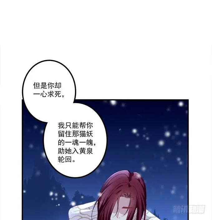 《猫妖的诱惑》好大一盘棋！ 第6页