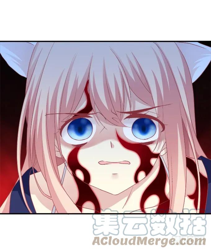 《猫妖的诱惑》再次离去！ 第3页
