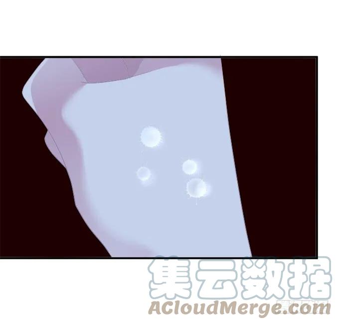 《猫妖的诱惑》再次离去！ 第42页