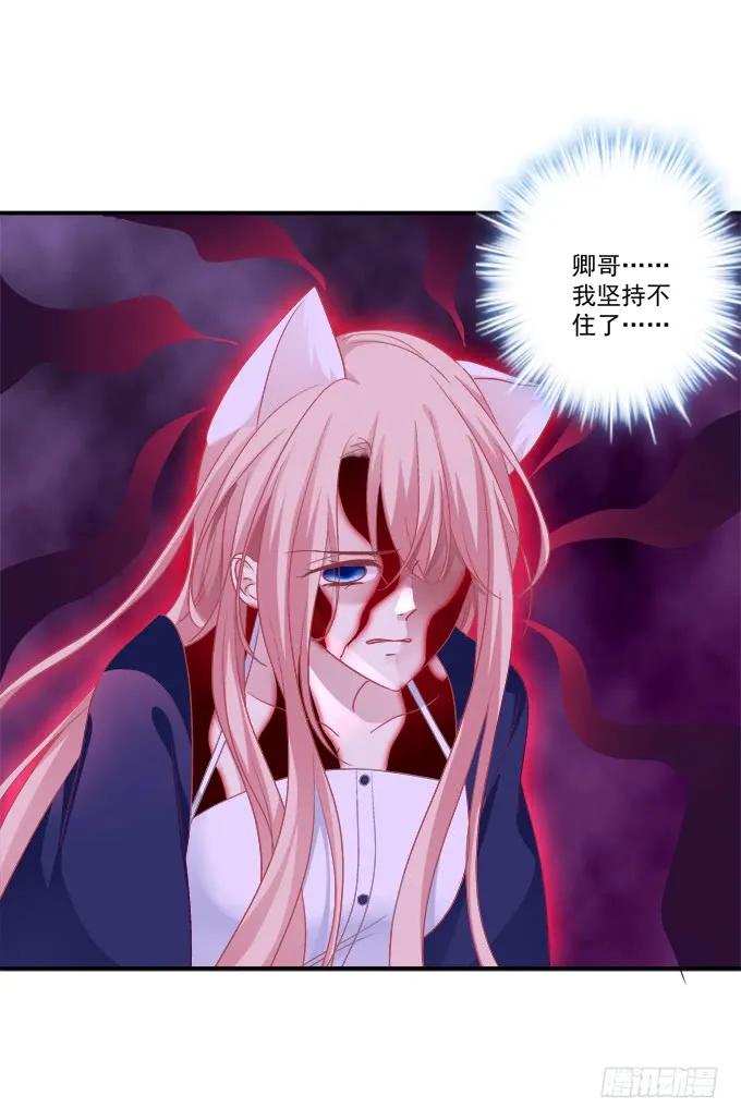 《猫妖的诱惑》再次离去！ 第5页