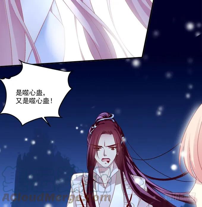 《猫妖的诱惑》又见沈墨卿！ 第19页