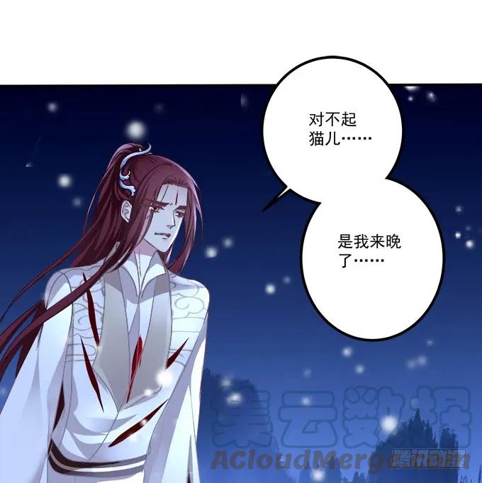 《猫妖的诱惑》又见沈墨卿！ 第40页
