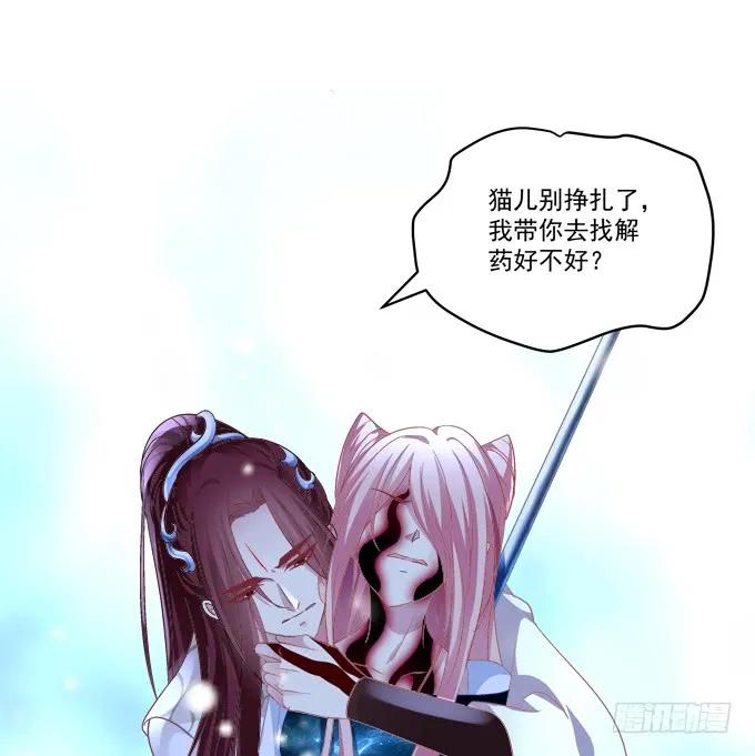 《猫妖的诱惑》又见沈墨卿！ 第47页