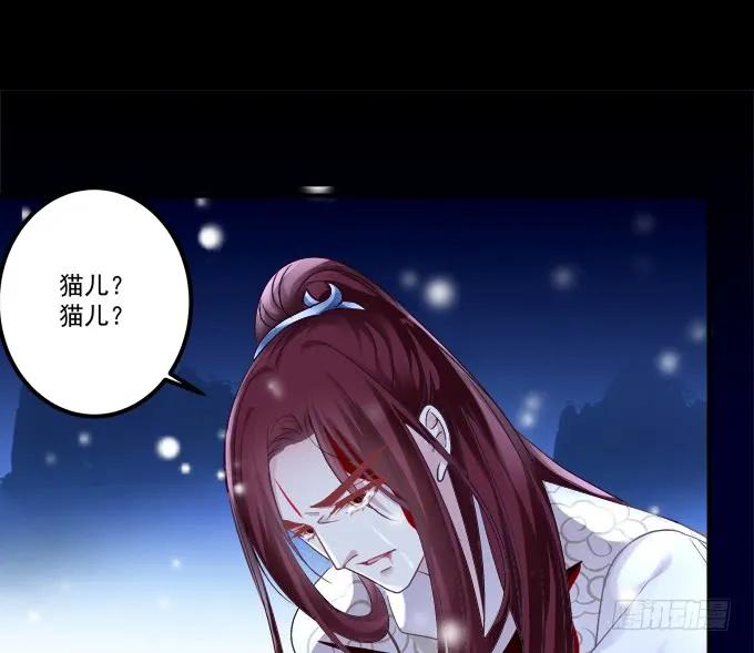 《猫妖的诱惑》卿哥你是来娶我的吗！ 第39页