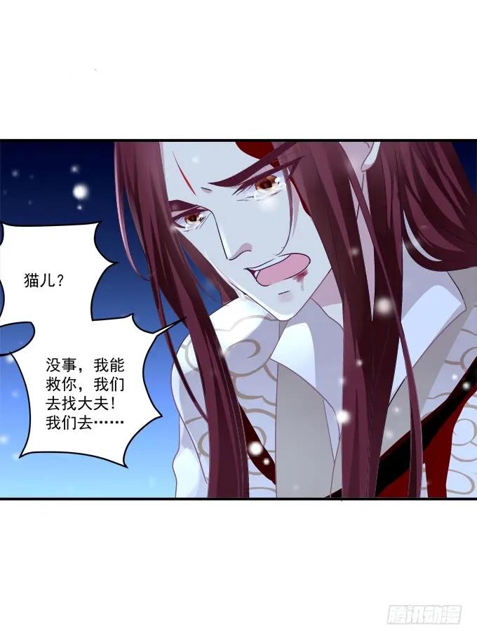 《猫妖的诱惑》卿哥你是来娶我的吗！ 第35页