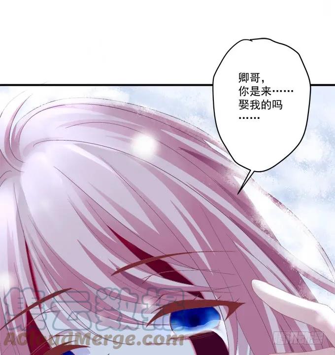 《猫妖的诱惑》卿哥你是来娶我的吗！ 第31页