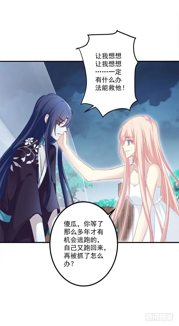 《猫妖的诱惑》我允许你死了吗？！ 第26页
