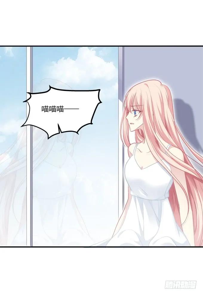 《猫妖的诱惑》回首又见他（大结局）！ 第29页