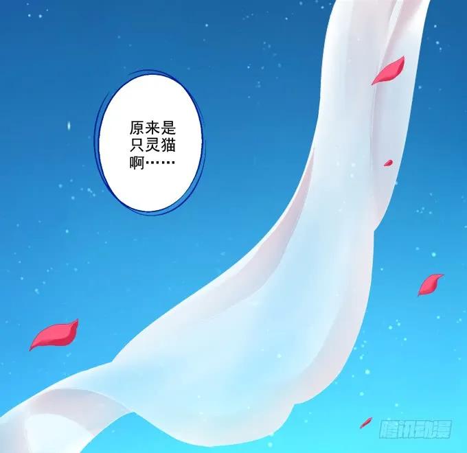 《猫妖的诱惑》双宿双栖 第15页