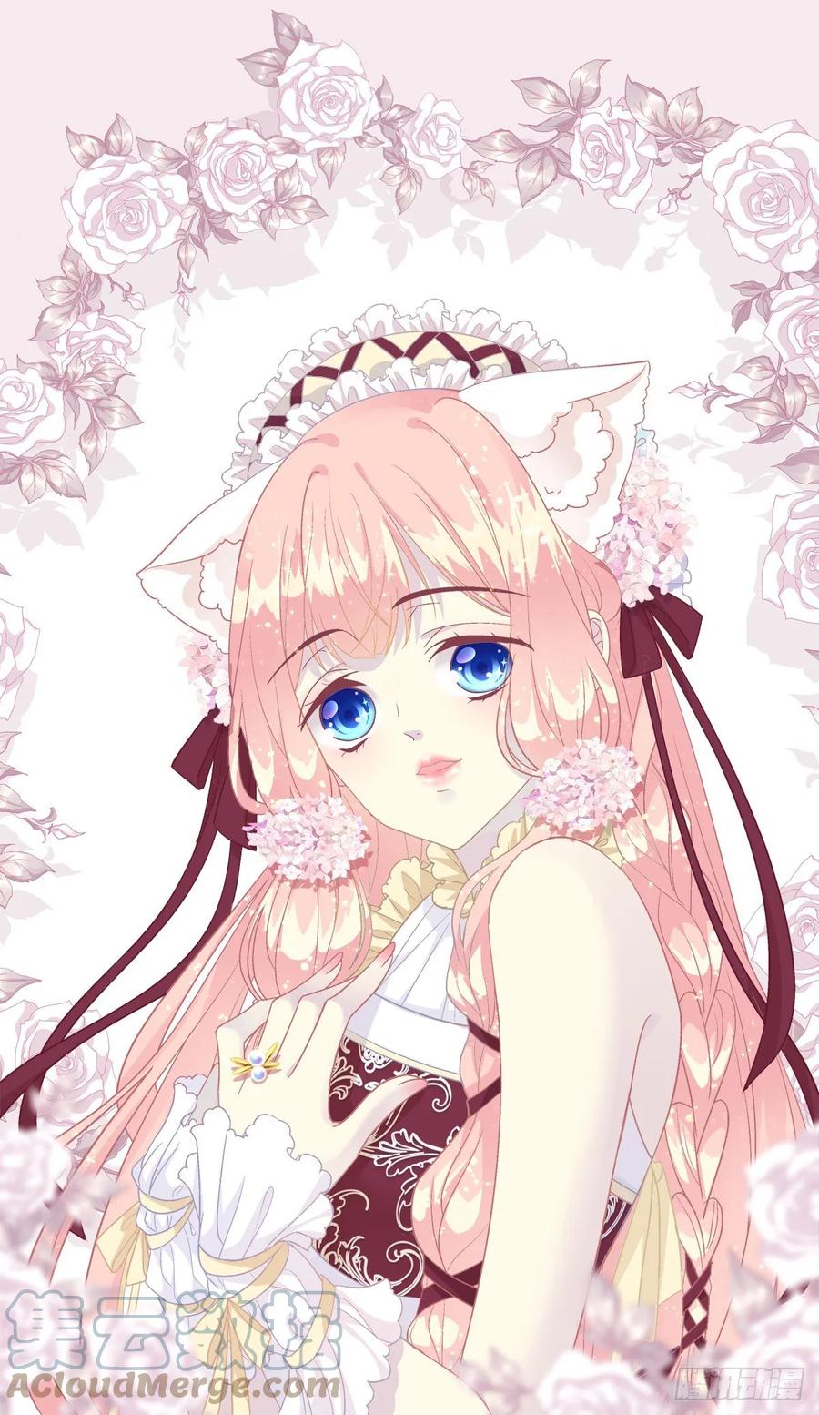 《猫妖的诱惑》我只要你一个小妖精！ 第1页