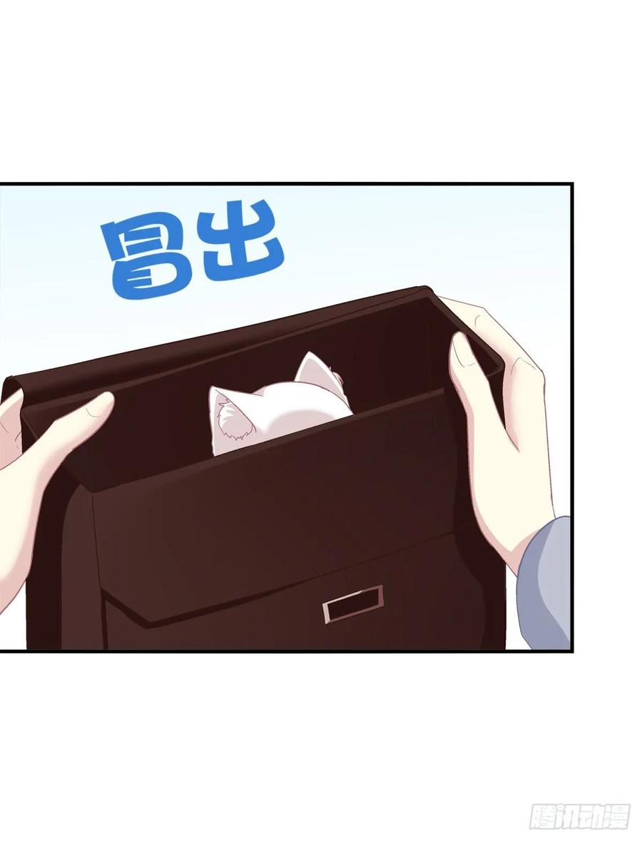 《猫妖的诱惑》沈墨卿是个渣男！ 第24页