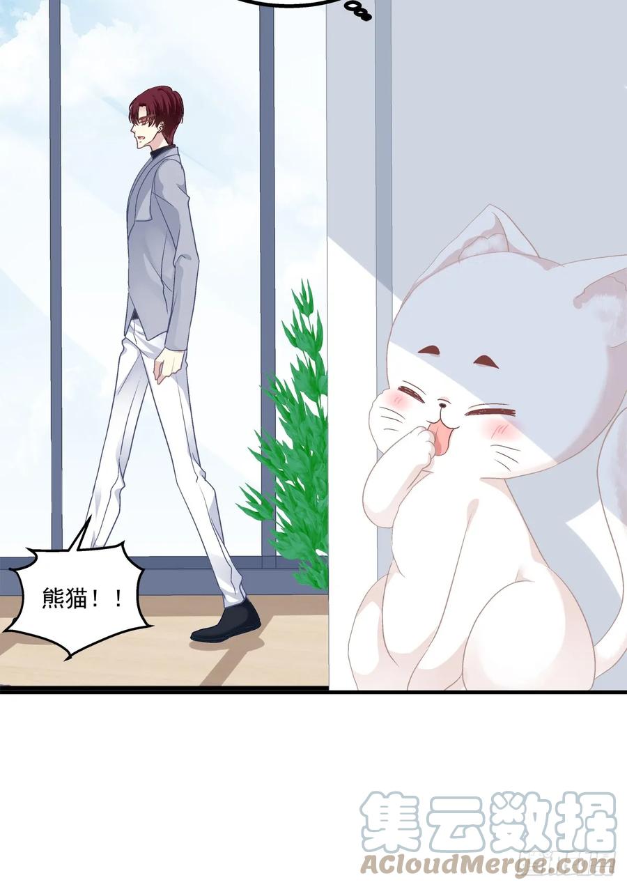 《猫妖的诱惑》沈墨卿是个渣男！ 第31页