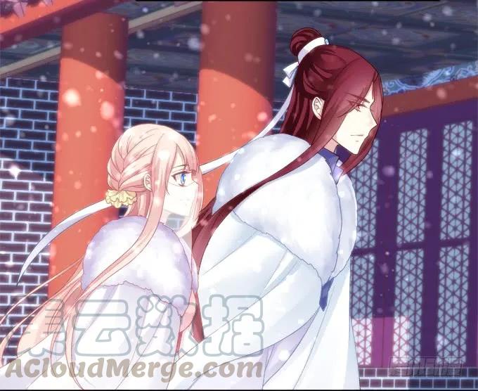 《猫妖的诱惑》心悦之人 第13页