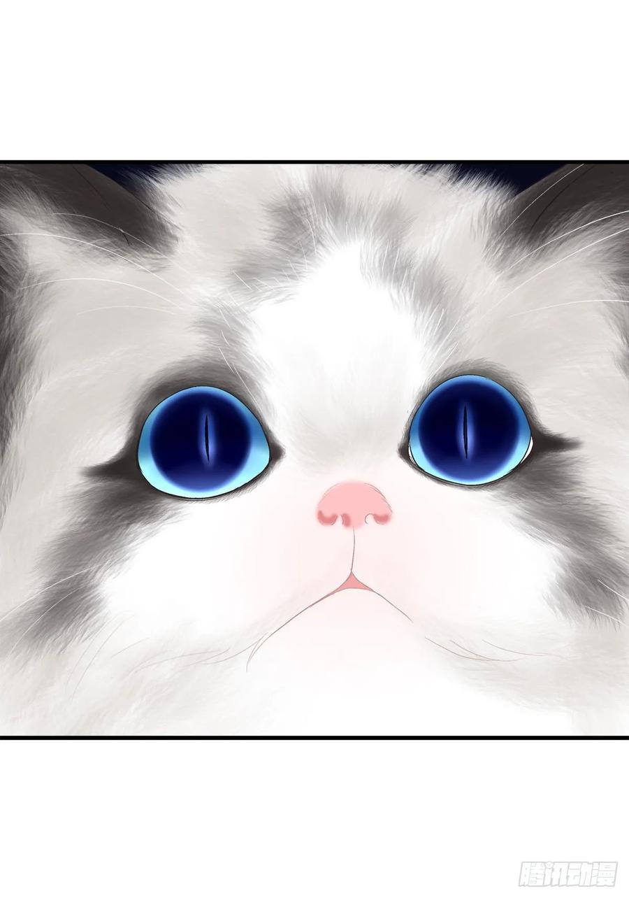 《猫妖的诱惑》回首又见她！ 第45页