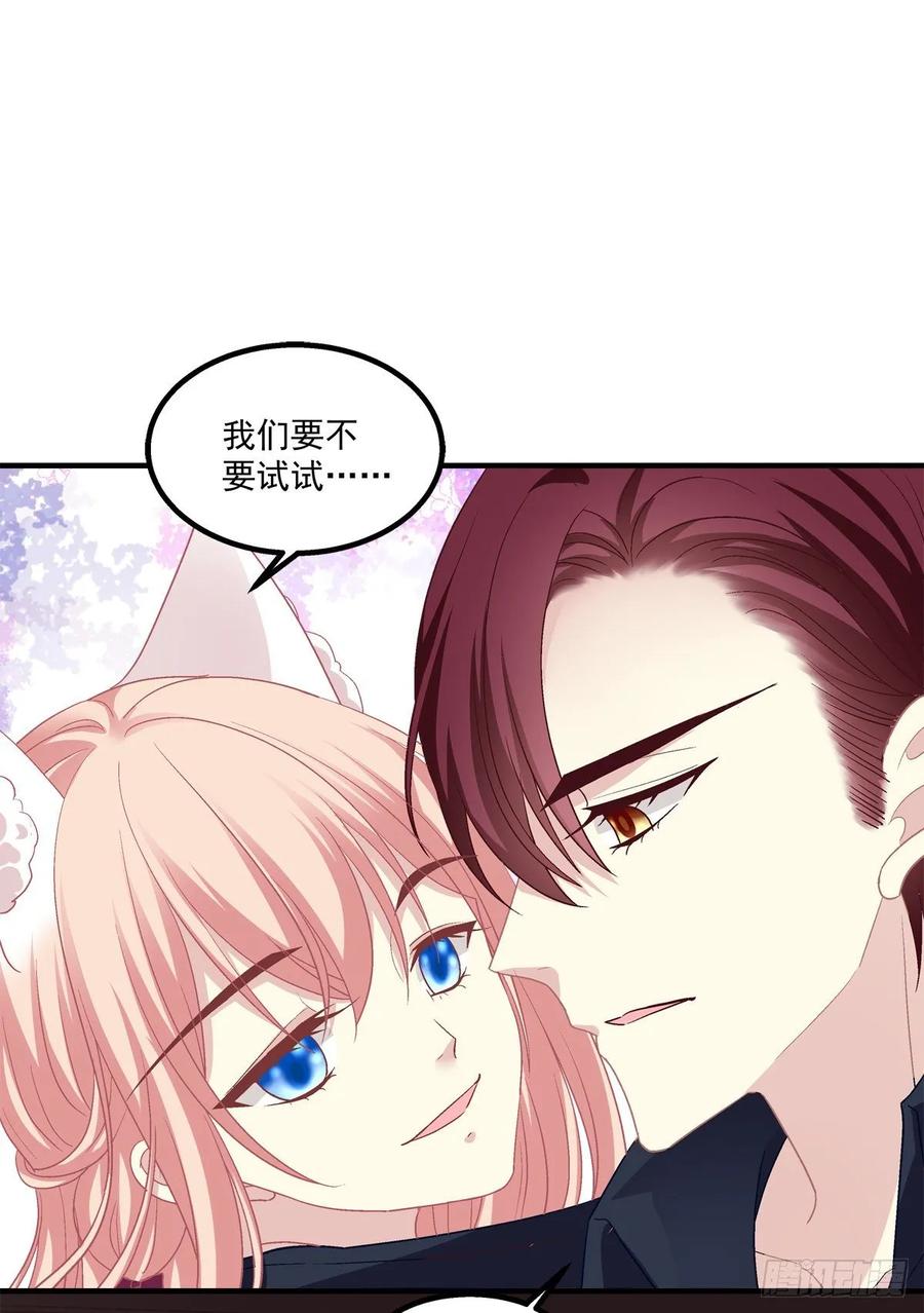 《猫妖的诱惑》回首又见她！ 第26页