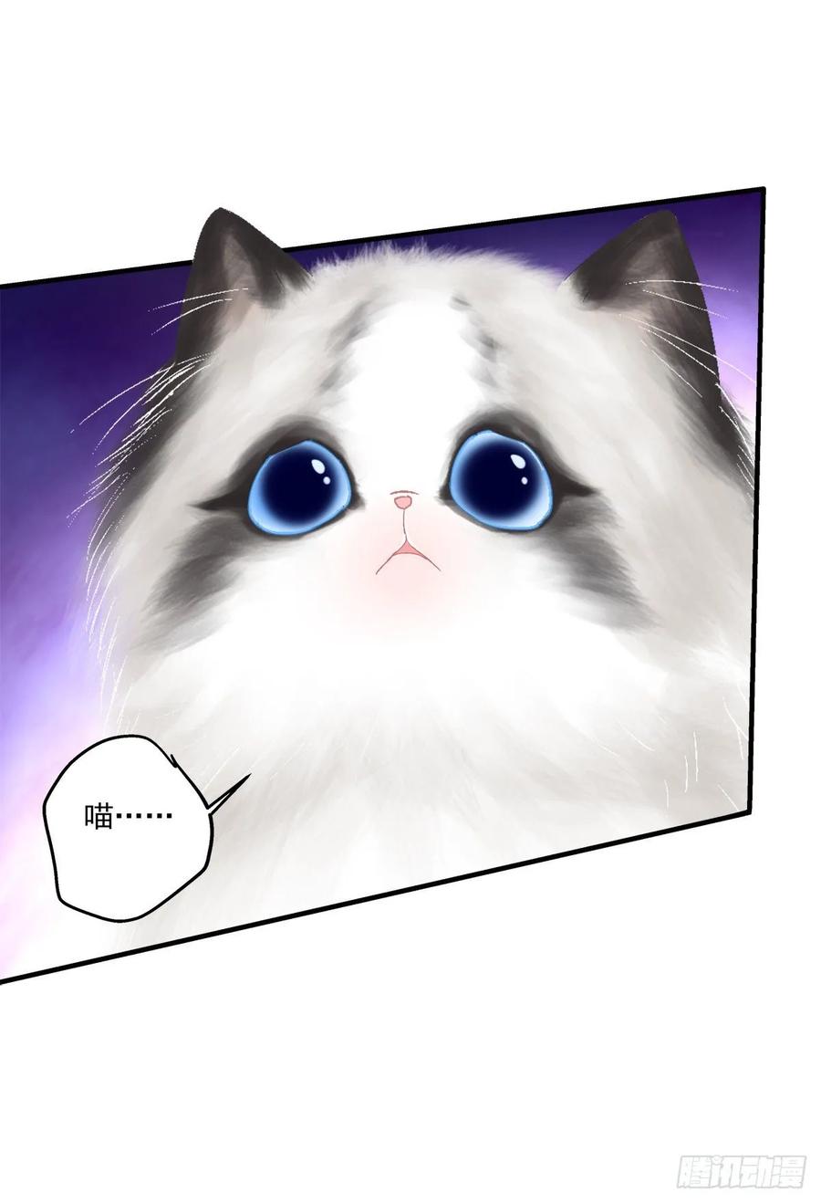 《猫妖的诱惑》回首又见她！ 第41页