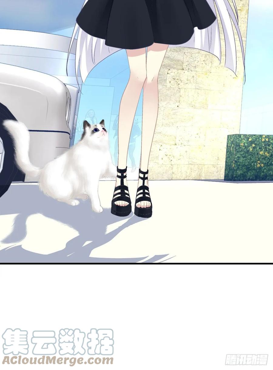 《猫妖的诱惑》回首又见她！ 第40页