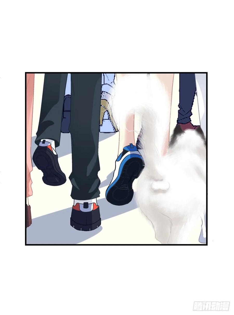 《猫妖的诱惑》回首又见她！ 第38页