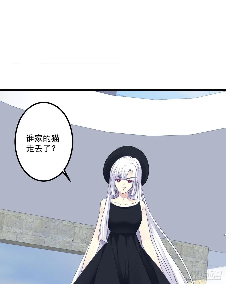 《猫妖的诱惑》回首又见她！ 第39页
