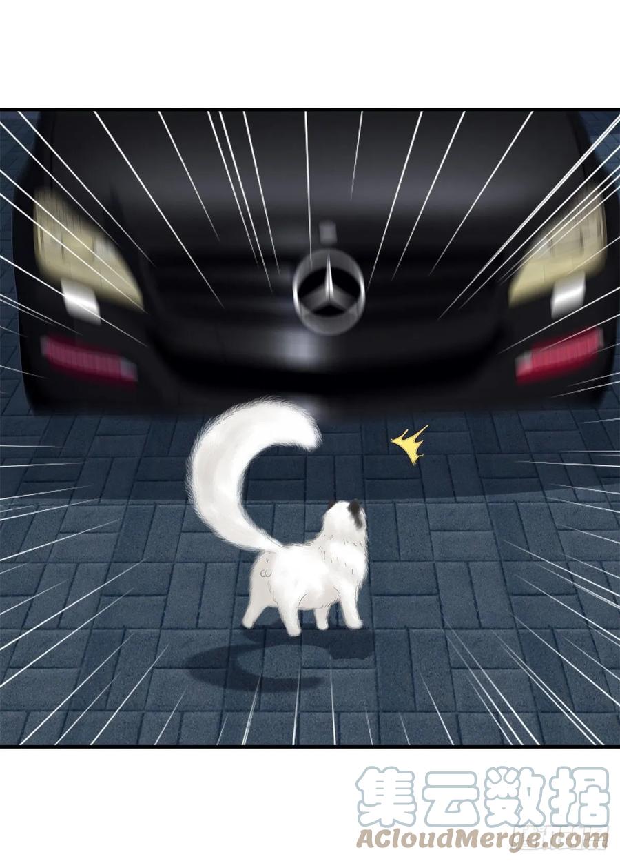 《猫妖的诱惑》天上掉下个小奴隶！ 第7页