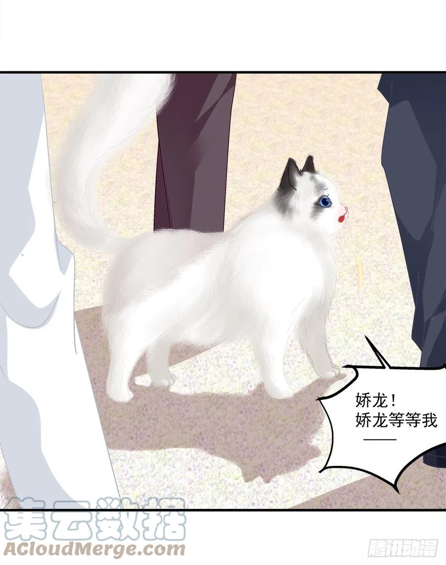 《猫妖的诱惑》天上掉下个小奴隶！ 第4页