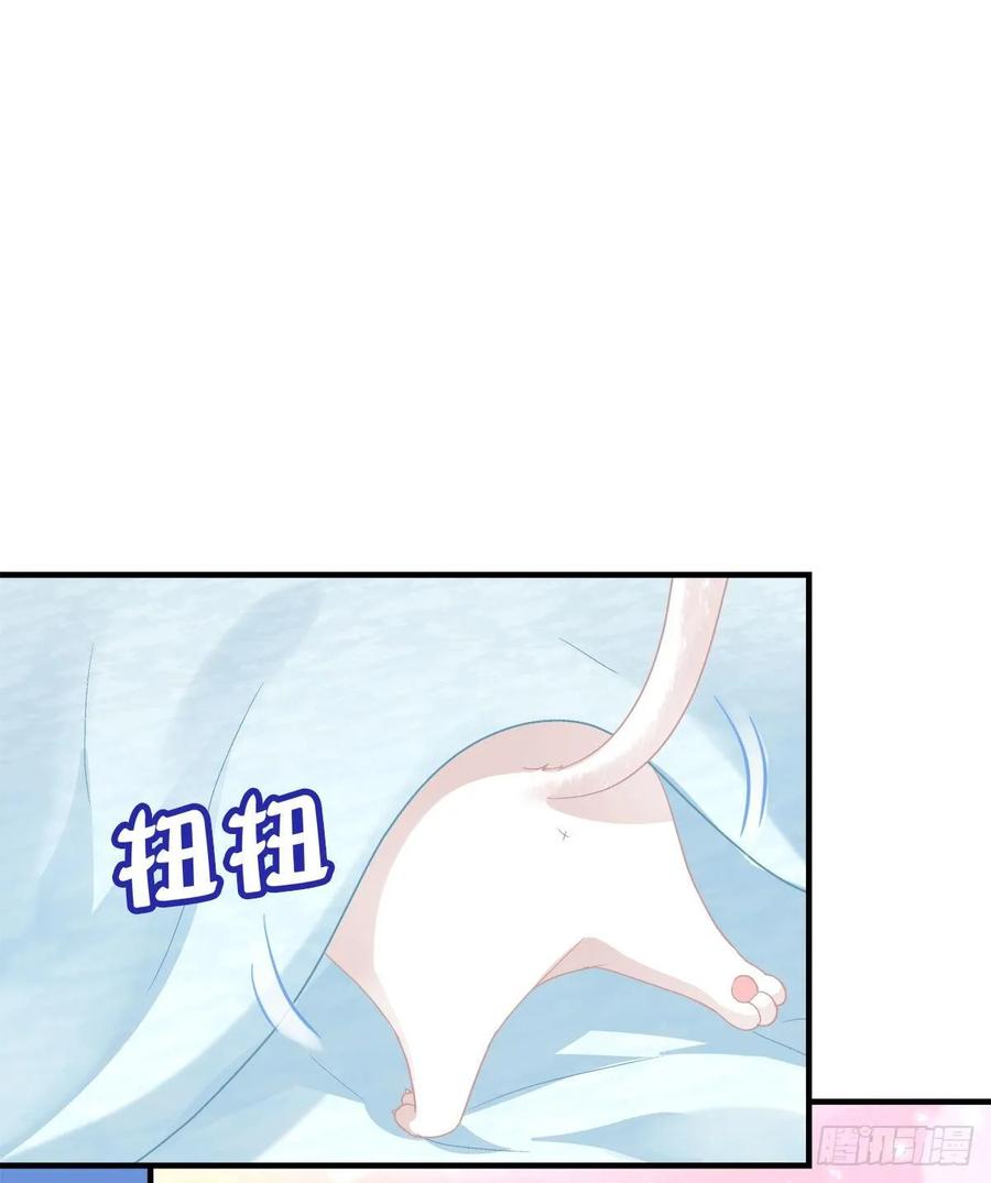 《猫妖的诱惑》沈墨卿来选美呀！ 第21页