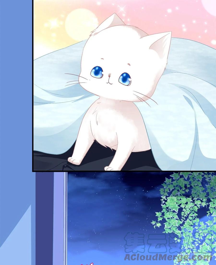 《猫妖的诱惑》沈墨卿来选美呀！ 第22页