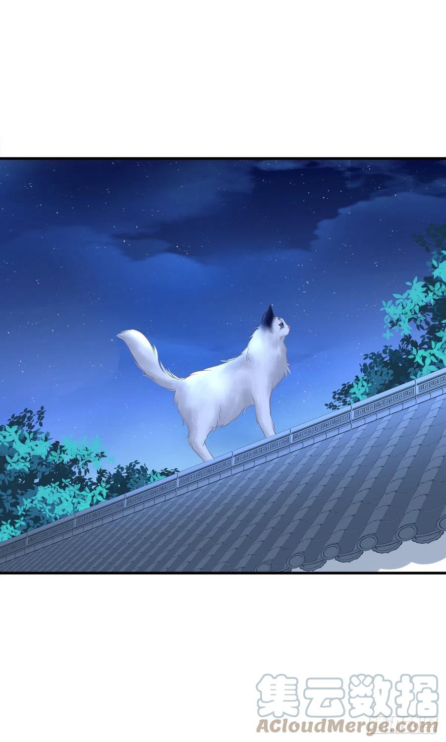 《猫妖的诱惑》爸爸爬墙记！ 第28页
