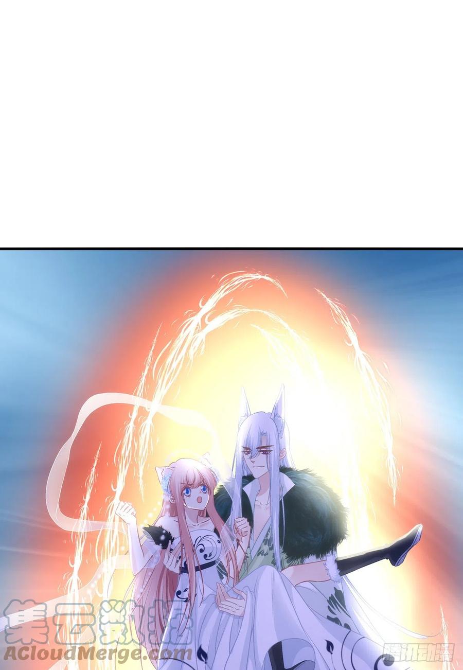 《猫妖的诱惑》寒烟君带着猫儿跑路了！ 第16页
