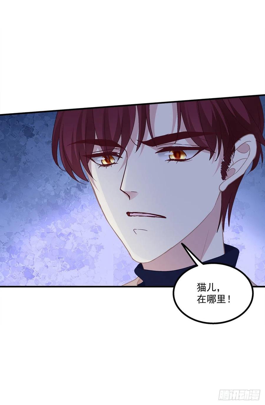 《猫妖的诱惑》寒烟君带着猫儿跑路了！ 第36页