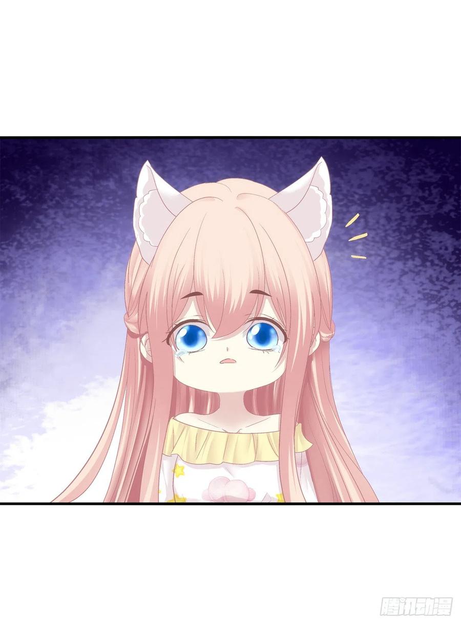《猫妖的诱惑》孟婆的执念。 第11页