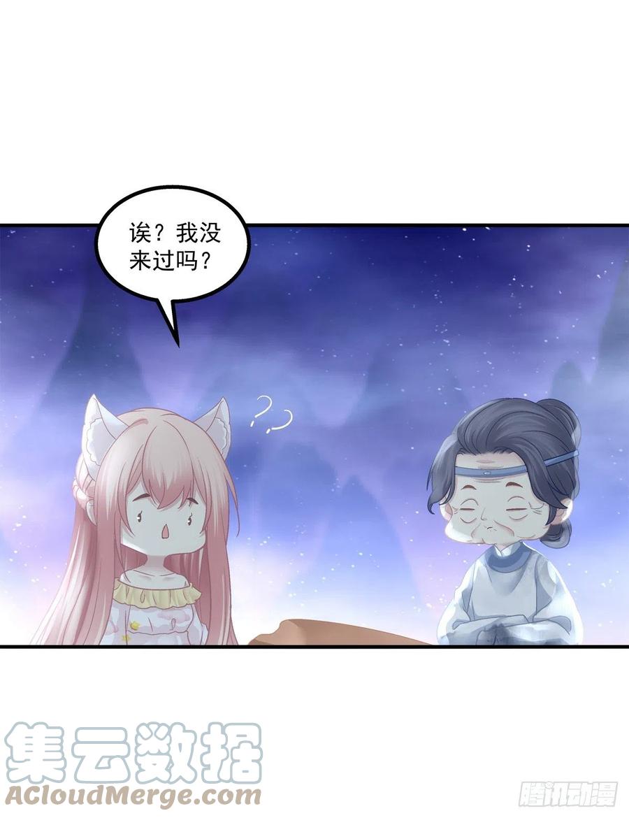 《猫妖的诱惑》孟婆的执念。 第12页