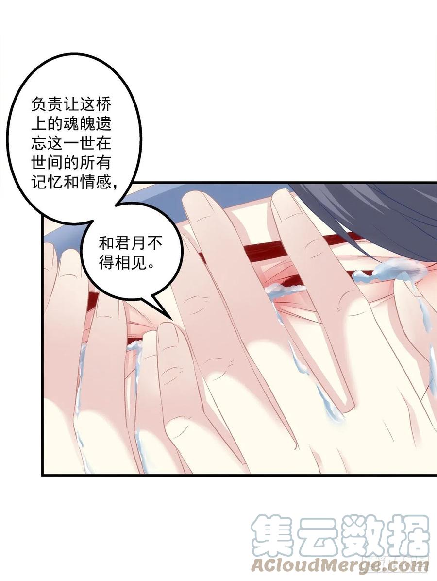 《猫妖的诱惑》浓雾之外，少年依旧。 第16页