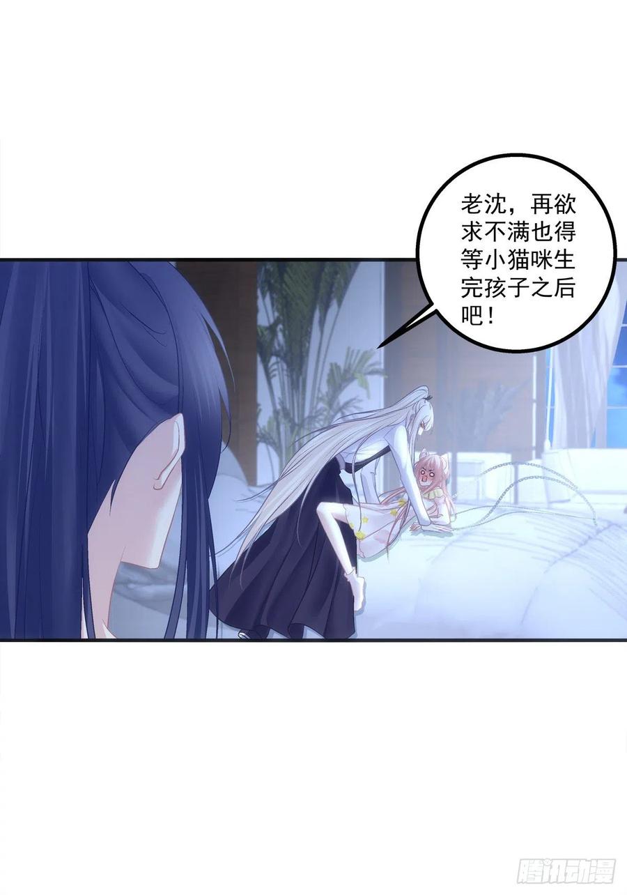 《猫妖的诱惑》胖橘归来！ 第5页