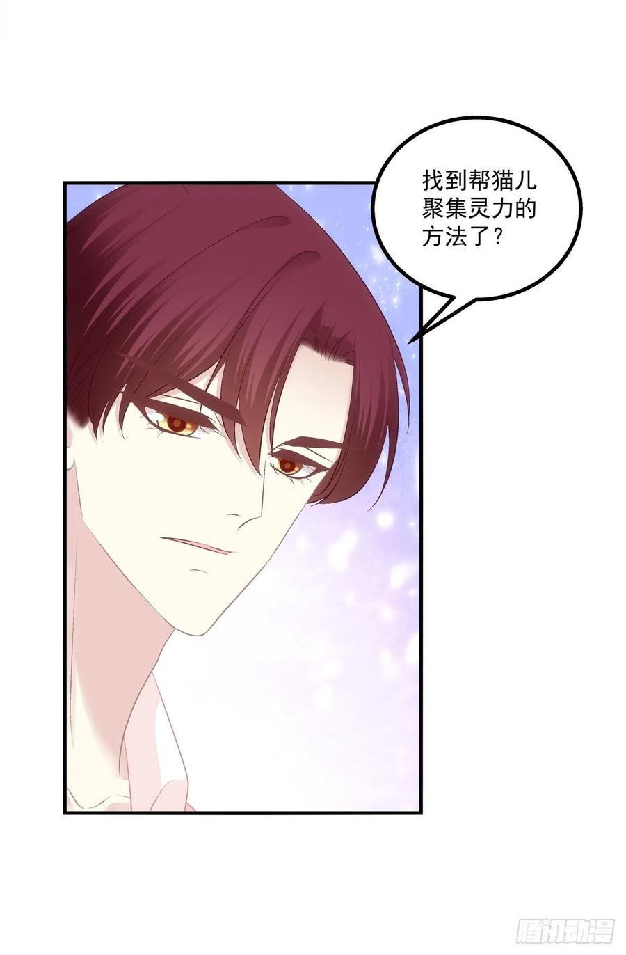 《猫妖的诱惑》胖橘归来！ 第17页