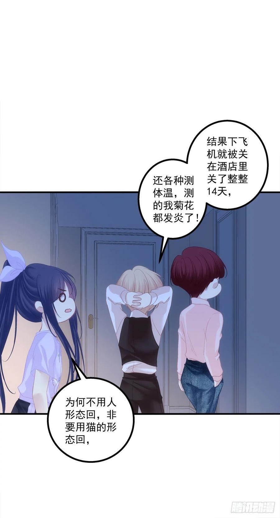《猫妖的诱惑》胖橘归来！ 第38页