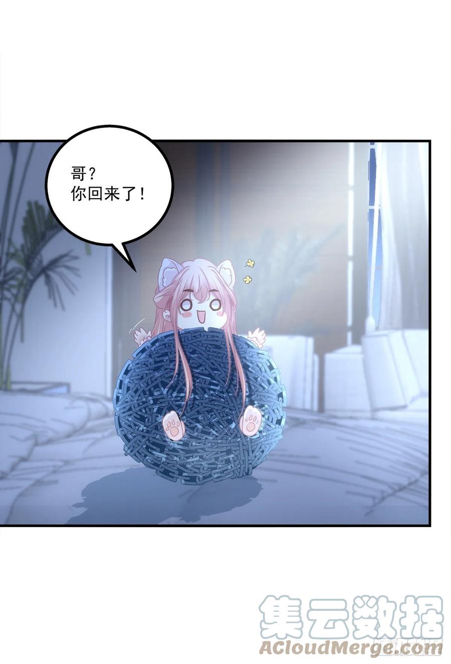 《猫妖的诱惑》胖橘归来！ 第43页