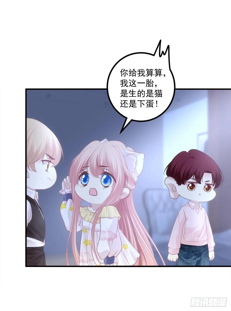 《猫妖的诱惑》夜枭的礼物。 第14页