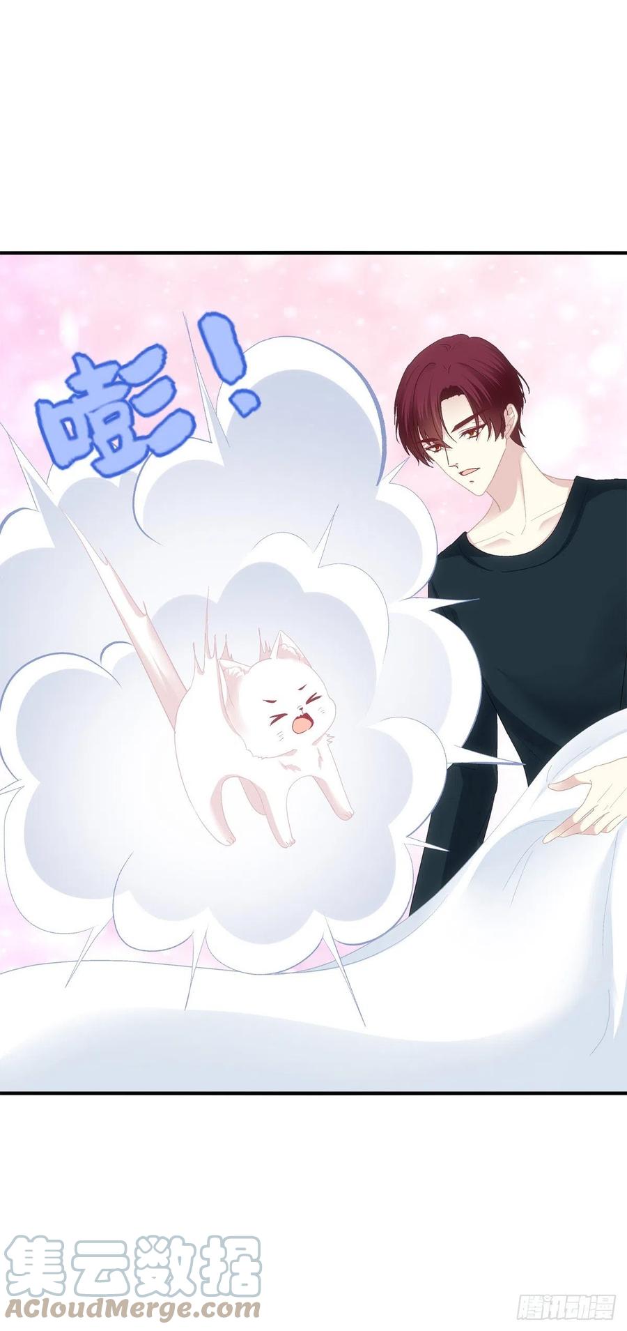 《猫妖的诱惑》世上再无龙傲天。 第27页