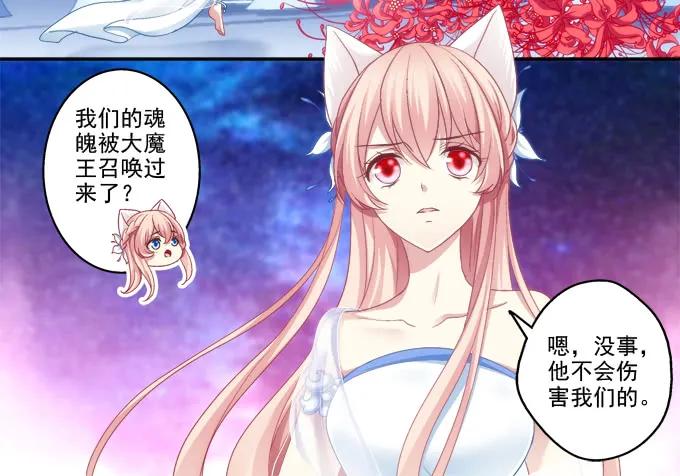 《猫妖的诱惑》妖王殿 第14页