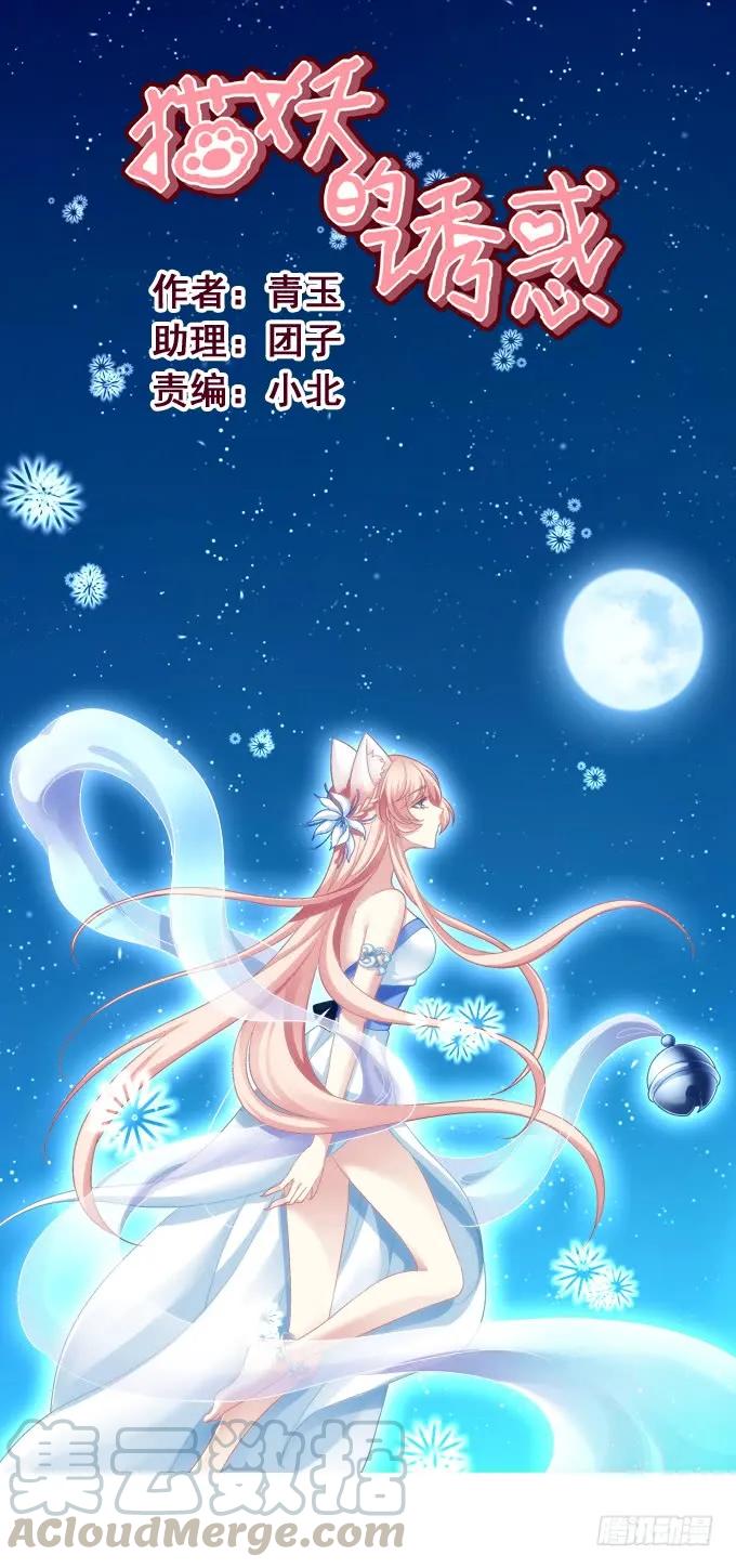 《猫妖的诱惑》妖王殿 第1页