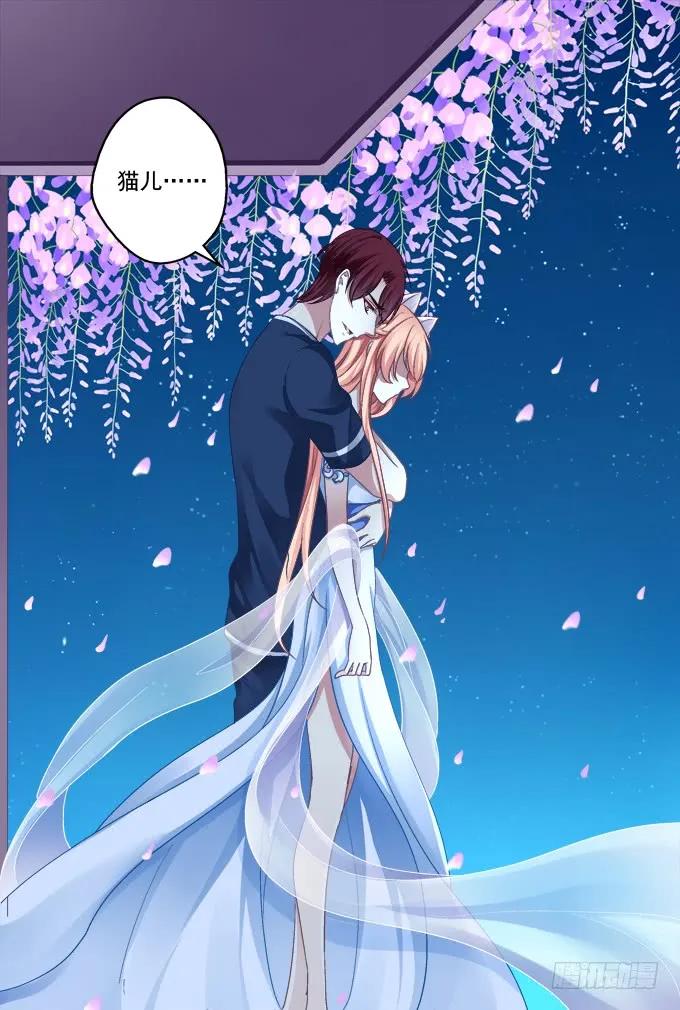 《猫妖的诱惑》妖王殿 第2页